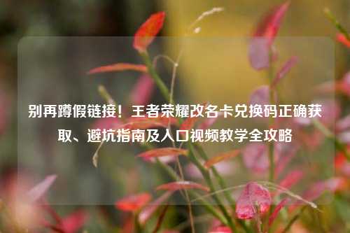 别再蹲假链接！王者荣耀改名卡兑换码正确获取、避坑指南及入口视频教学全攻略