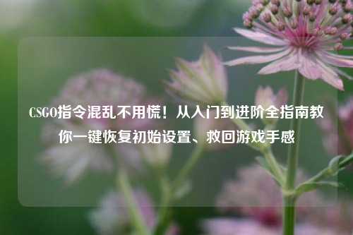 CSGO指令混乱不用慌!从入门到进阶全指南教你一键恢复初始设置、救回游戏手感