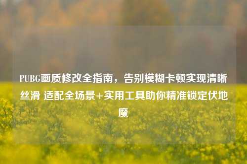 PUBG画质修改全指南,告别模糊卡顿实现清晰丝滑 适配全场景+实用工具助你精准锁定伏地魔