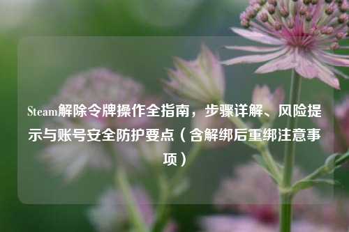 Steam解除令牌操作全指南，步骤详解、风险提示与账号安全防护要点（含解绑后重绑注意事项）