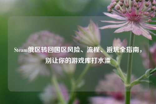 Steam俄区转回国区风险、流程、避坑全指南,别让你的游戏库打水漂