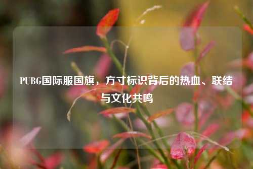 PUBG国际服国旗,方寸标识背后的热血、联结与文化共鸣