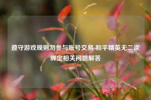 遵守游戏规则勿参与账号交易 和平精英无二次绑定相关问题解答