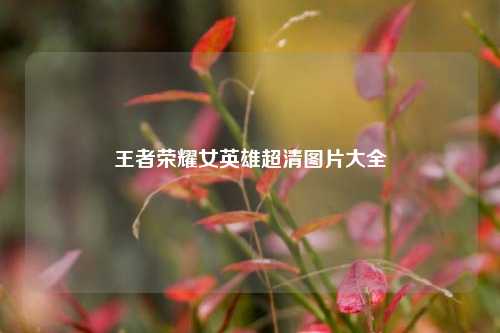王者荣耀女英雄超清图片大全
