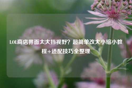 LOL商店界面太大挡视野?超简单改大小缩小教程+适配技巧全整理