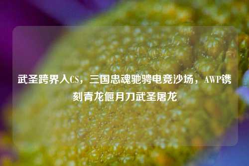 武圣跨界入CS,三国忠魂驰骋电竞沙场,AWP镌刻青龙偃月刀武圣屠龙