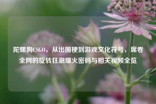 陀螺狗CSGO,从出圈梗到游戏文化符号,席卷全网的旋转狂潮爆火密码与相关视频全览