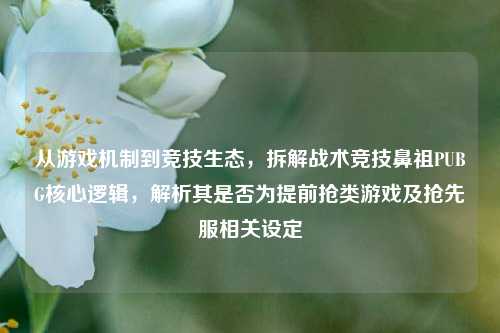 从游戏机制到竞技生态,拆解战术竞技鼻祖PUBG核心逻辑,解析其是否为提前抢类游戏及抢先服相关设定
