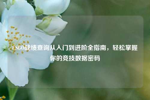 CSGO战绩查询从入门到进阶全指南，轻松掌握你的竞技数据密码