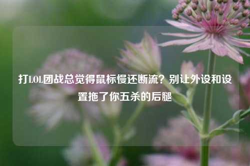 打LOL团战总觉得鼠标慢还断流?别让外设和设置拖了你五杀的后腿