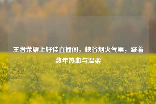 王者荣耀上好佳直播间，峡谷烟火气里，藏着数年热血与温柔