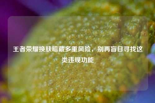 王者荣耀换肤暗藏多重风险,别再盲目寻找这类违规功能
