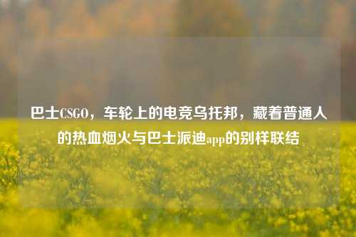 巴士CSGO,车轮上的电竞乌托邦,藏着普通人的热血烟火与巴士派迪app的别样联结