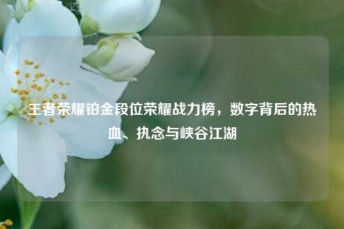 王者荣耀铂金段位荣耀战力榜,数字背后的热血、执念与峡谷江湖