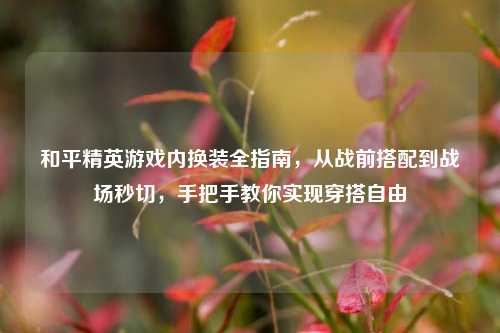 和平精英游戏内换装全指南,从战前搭配到战场秒切,手把手教你实现穿搭自由