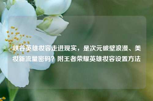 峡谷英雄妆容走进现实,是次元破壁浪漫、美妆新流量密码?附王者荣耀英雄妆容设置方法