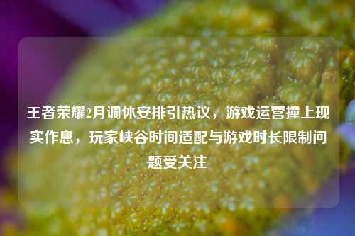 王者荣耀2月调休安排引热议,游戏运营撞上现实作息,玩家峡谷时间适配与游戏时长限制问题受关注