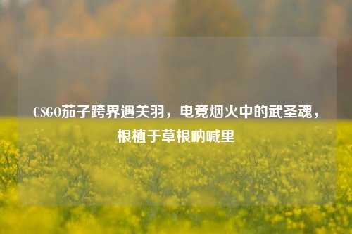CSGO茄子跨界遇关羽,电竞烟火中的武圣魂,根植于草根呐喊里