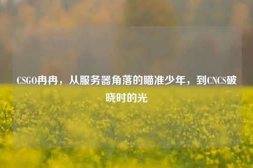 CSGO冉冉,从服务器角落的瞄准少年,到CNCS破晓时的光