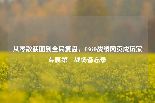 从零散截图到全局复盘,CSGO战绩网页成玩家专属第二战场备忘录