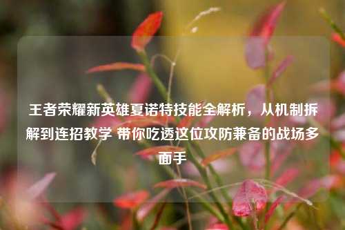 王者荣耀新英雄夏诺特技能全解析,从机制拆解到连招教学 带你吃透这位攻防兼备的战场多面手