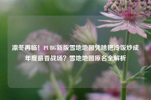 凛冬再临!PUBG新版雪地地图凭啥把冷饭炒成年度最香战场?雪地地图原名全解析