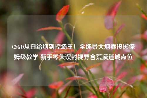 CSGO从白给烟到控场王!全场景大烟雾投掷保姆级教学 新手零失误封视野含荒漠迷城点位
