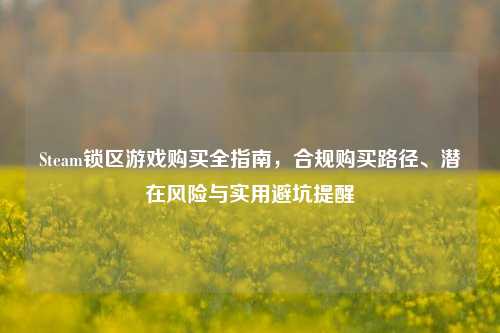 Steam锁区游戏购买全指南，合规购买路径、潜在风险与实用避坑提醒