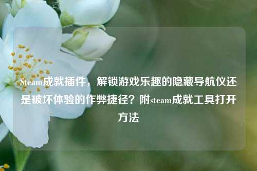 Steam成就插件,解锁游戏乐趣的隐藏导航仪还是破坏体验的作弊捷径?附steam成就工具打开方法