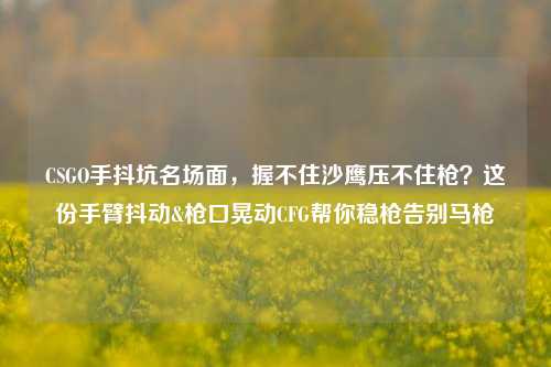 CSGO手抖坑名场面，握不住沙鹰压不住枪？这份手臂抖动&枪口晃动CFG帮你稳枪告别马枪