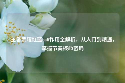 王者荣耀红蓝buff作用全解析,从入门到精通,掌握节奏核心密码