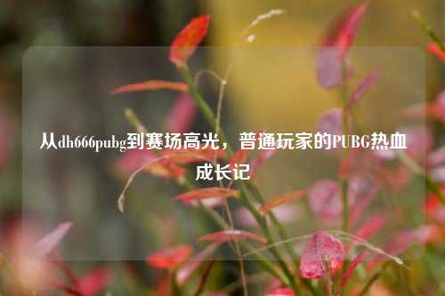 从dh666pubg到赛场高光,普通玩家的PUBG热血成长记