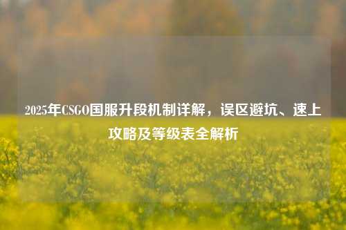 2025年CSGO国服升段机制详解,误区避坑、速上攻略及等级表全解析