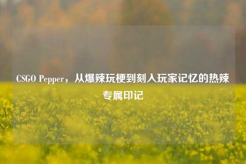 CSGO Pepper,从爆辣玩梗到刻入玩家记忆的热辣专属印记