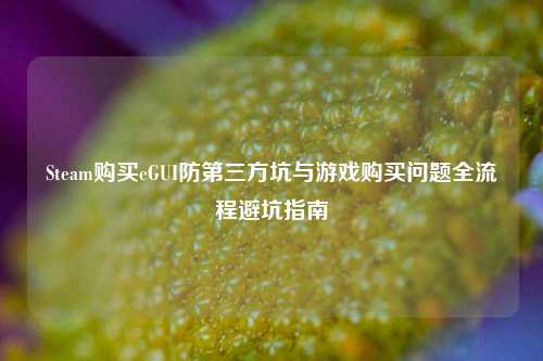 Steam购买eGUI防第三方坑与游戏购买问题全流程避坑指南