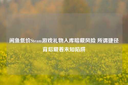 闲鱼低价Steam游戏礼物入库暗藏风险 所谓捷径背后藏着未知陷阱