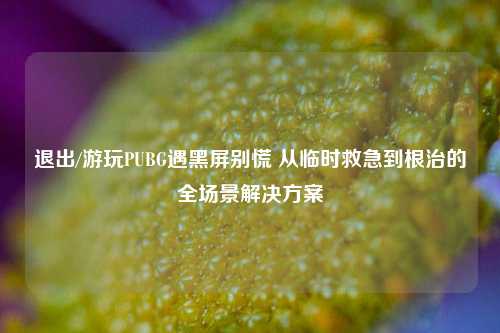 退出/游玩PUBG遇黑屏别慌 从临时救急到根治的全场景解决方案