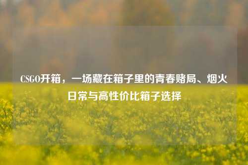CSGO开箱，一场藏在箱子里的青春赌局、烟火日常与高性价比箱子选择