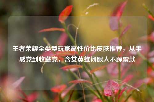 王者荣耀全类型玩家高性价比皮肤推荐,从手感党到收藏党,含女英雄闭眼入不踩雷款