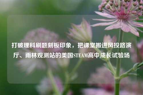 打破理科刷题刻板印象,把课堂搬进风投路演厅、雨林观测站的美国STEAM高中成长试验场