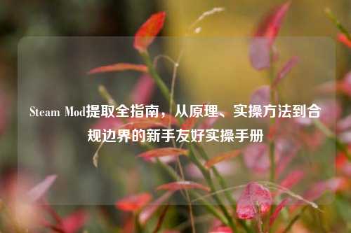 Steam Mod提取全指南,从原理、实操方法到合规边界的新手友好实操手册