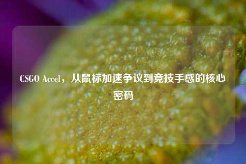 CSGO Accel，从鼠标加速争议到竞技手感的核心密码