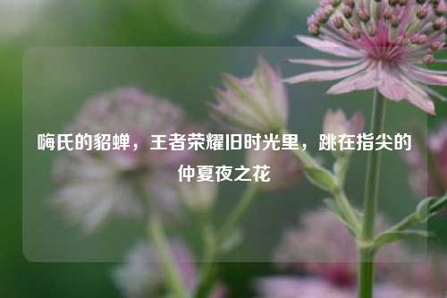 嗨氏的貂蝉，王者荣耀旧时光里，跳在指尖的仲夏夜之花