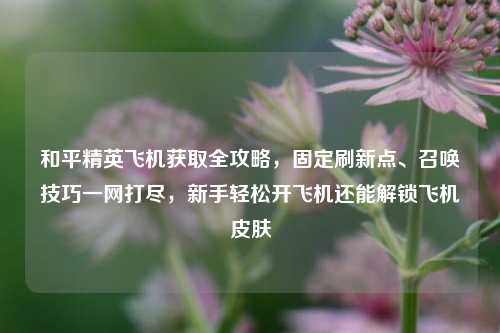 和平精英飞机获取全攻略,固定刷新点、召唤技巧一网打尽,新手轻松开飞机还能解锁飞机皮肤