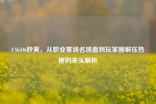 CSGO6秒黄,从职业赛场名场面到玩家圈解压热梗的来头解析