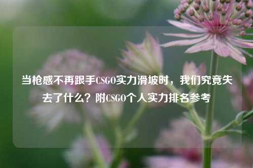 当枪感不再跟手CSGO实力滑坡时,我们究竟失去了什么?附CSGO个人实力排名参考