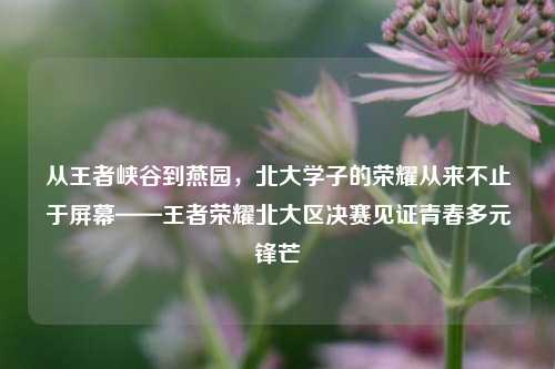 从王者峡谷到燕园,北大学子的荣耀从来不止于屏幕——王者荣耀北大区决赛见证青春多元锋芒
