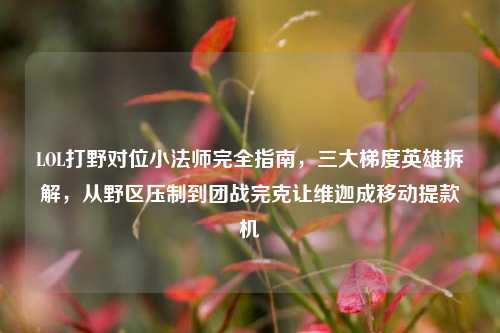 LOL打野对位小法师完全指南,三大梯度英雄拆解,从野区压制到团战完克让维迦成移动提款机