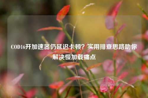 COD16开加速器仍延迟卡顿？实用排查思路助你解决慢加载痛点