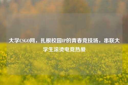 大学CSGO网，扎根校园IP的青春竞技场，串联大学生滚烫电竞热爱